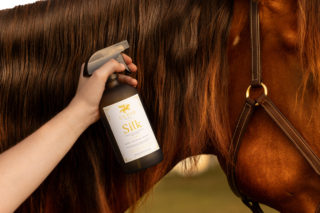 Silk: a Luxury Mane & Tail Detangler