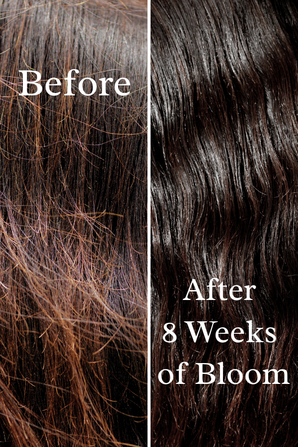Bloom: a Luxury Mane & Tail Treatment for Length and Fullness