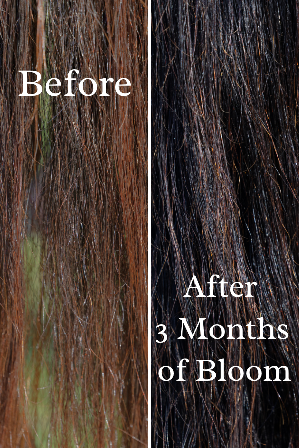 Bloom: a Luxury Mane & Tail Treatment for Length and Fullness