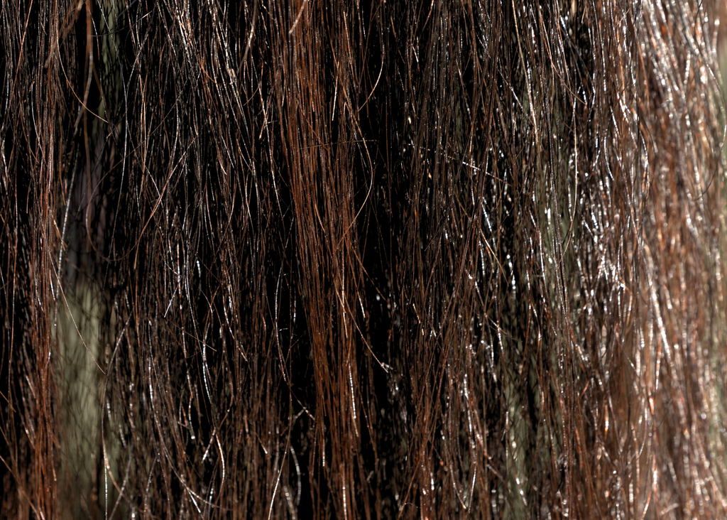 Bloom: a Luxury Mane & Tail Protectant