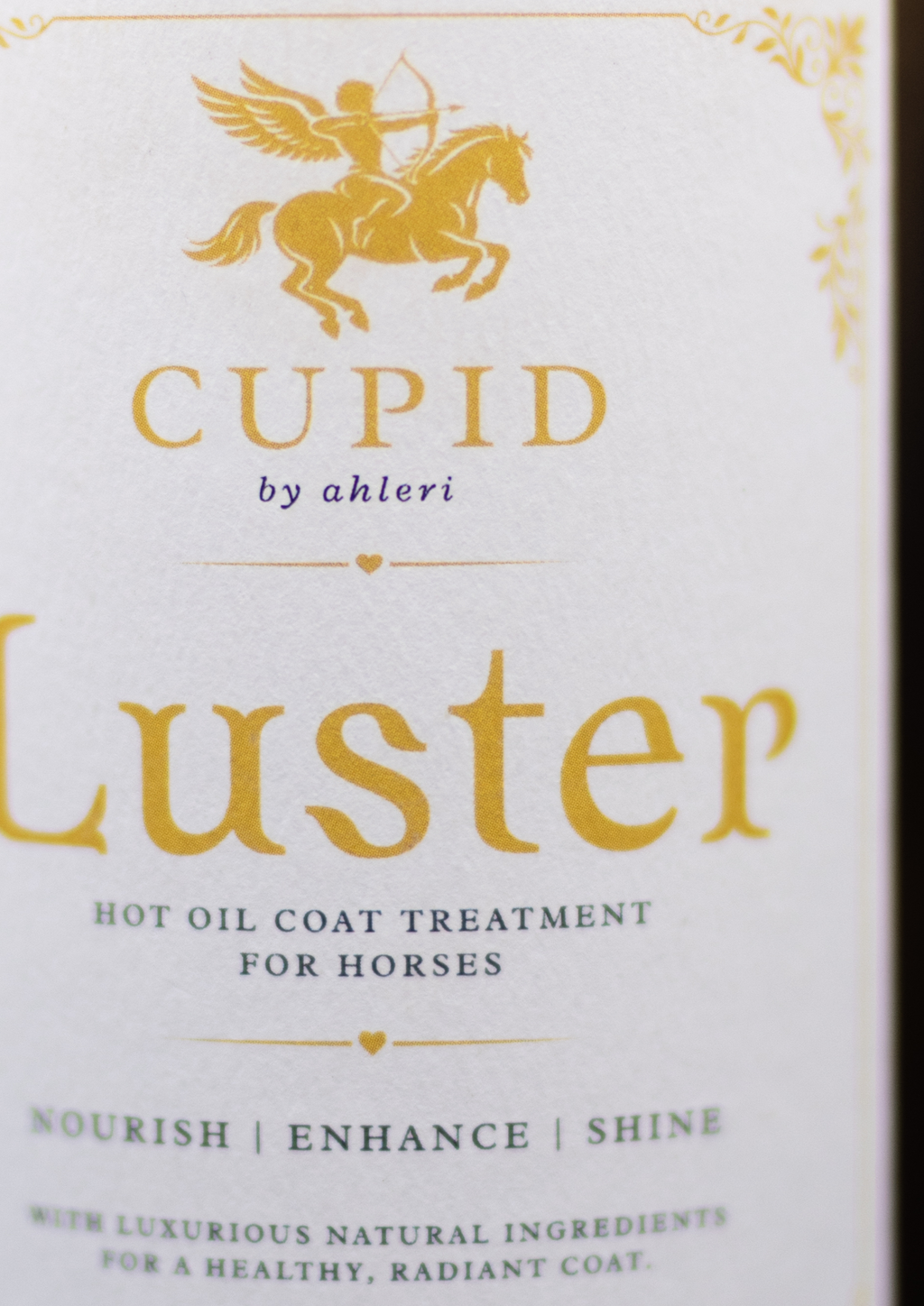 Luster: a Luxury Hot Oil Coat Treatment